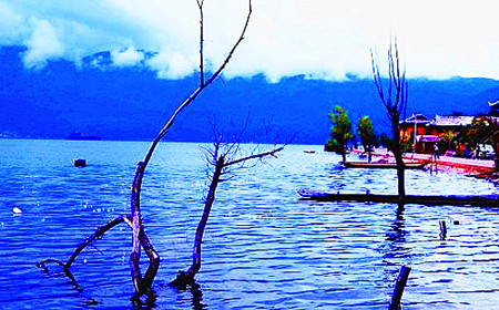 半岛平台在线登入(图6)