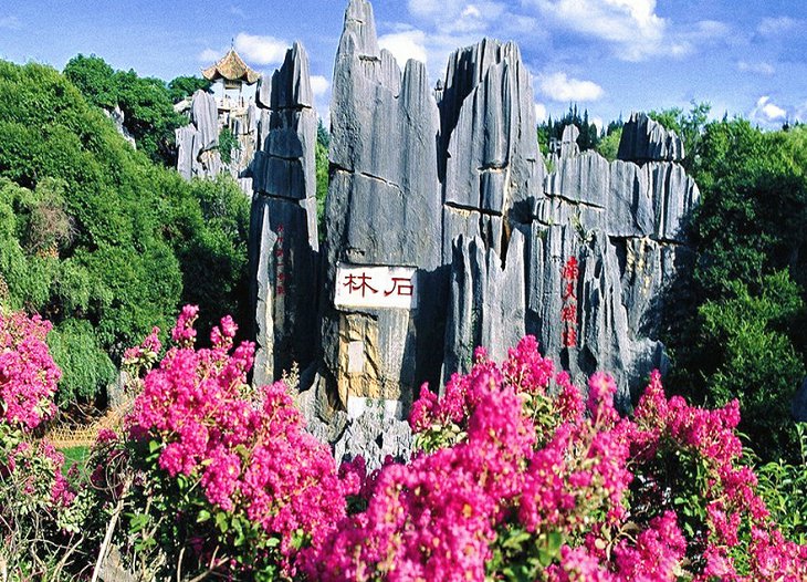 昆明、大理、丽江、泸沽湖7天6晚经典双卧游(图2) 昆明、大理、丽江、泸沽湖7天6晚经典双卧游(图2)